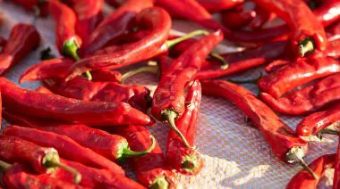 garnishing-instructions-image